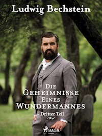 Die Geheimnisse eines Wundermannes - Dritter Teil - Ludwig Bechstein - ebook