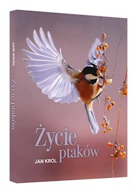 Życie ptaków - Król Jan - książka