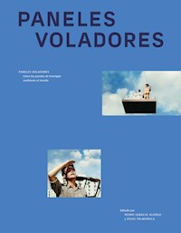 Paneles voladores - Pedro Ignacio Alonso - ebook
