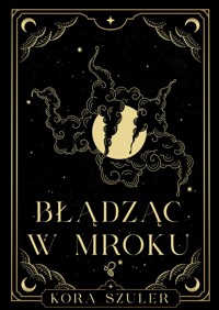 Błądząc w mroku - Kora Szuler - ebook + audiobook