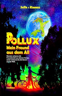 POLLUX - Mein Freund aus dem All - Martin Selle - ebook