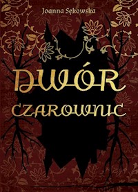 Dwór czarownic - Sękowska Joanna - książka