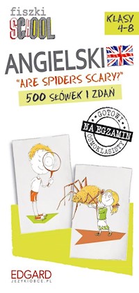Fiszki SCHOOL Are spiders scary? 500 słówek i zdań -  - książka