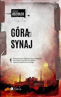 Góra Synaj - Krzysztof Koziołek - książka
