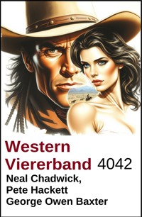Western Viererband 4042 - Neal Chadwick - ebook