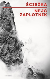 Ścieżka - Zaplotnik Nejc - książka