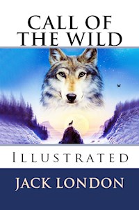 Call of the Wild - Jack London - ebook + książka