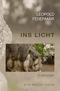 Ins Licht - Leopold Federmair - ebook