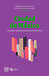 Ciudad de México. Miradas, experiencias y posibilidades - Margarita Camarena Luhrs - ebook