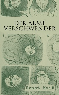 Der arme Verschwender - ernst  weiß - ebook