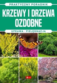 Krzewy i drzewa ozdobne. Natura - Michał Mazik - książka