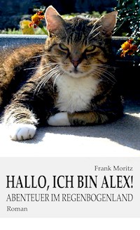 Hallo, ich bin Alex! - Frank Moritz - ebook