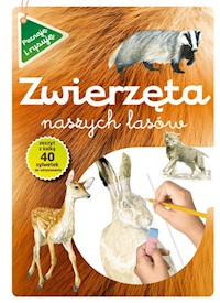Zwierzęta naszych lasów zeszyt z kalką - Katarzyna Kopiec-Sekieta - książka