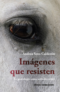 Imágenes que resisten - Andrea Soto Calderón - ebook