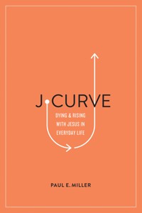 J-Curve - Paul E. Miller - ebook