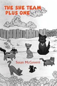 The She Team Plus One - Susan McGovern - ebook