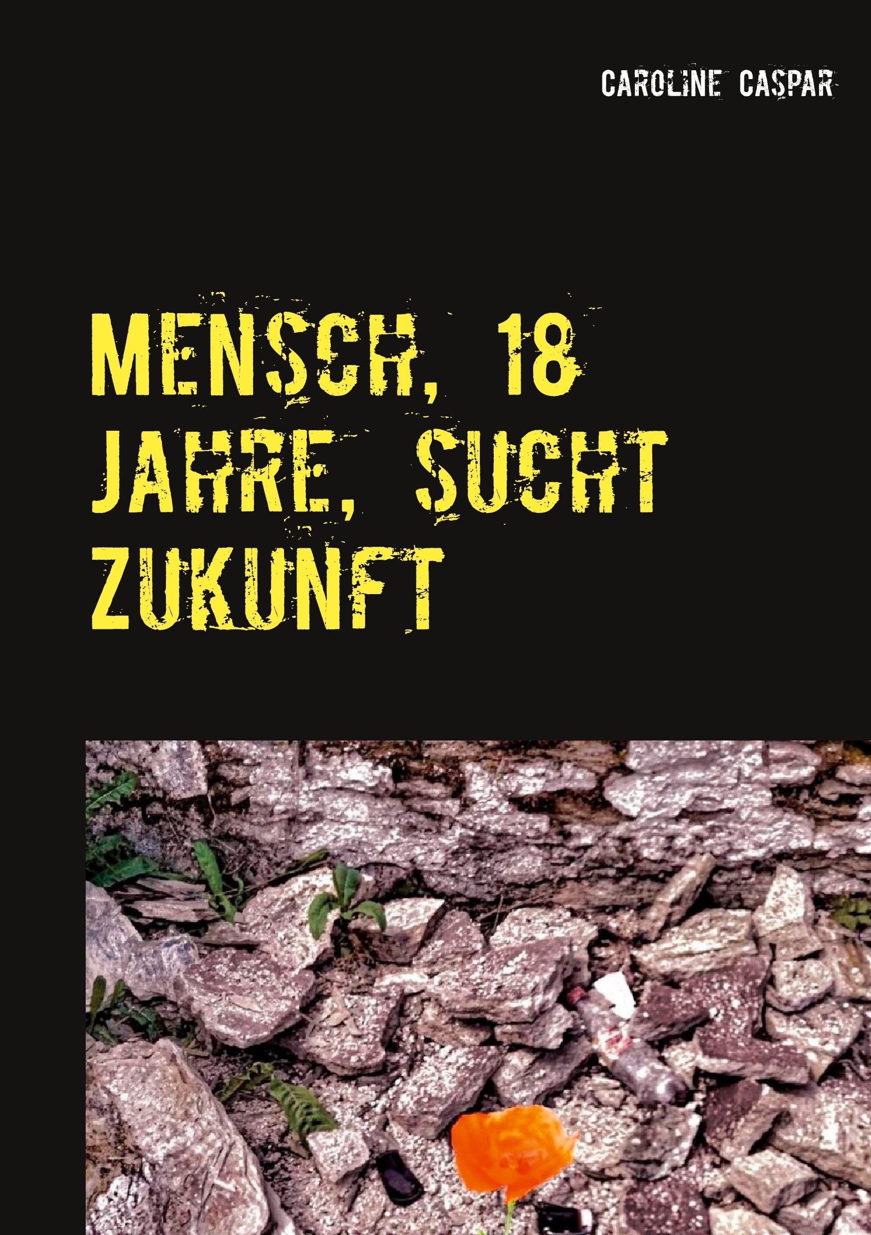 Mensch, 18 Jahre, sucht Zukunft