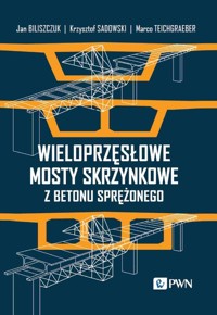 Wieloprzęsłowe mosty skrzynkowe z betonu sprężonego - Biliszczuk Jan, Sadowski Krzysztof, Teichgraeber Marco - książka