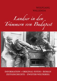 Landser in den Trümmern von Budapest - Wolfgang Wallenda - ebook