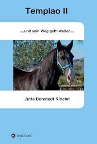 Templao II - Jutta Bonstedt Kloehn - ebook