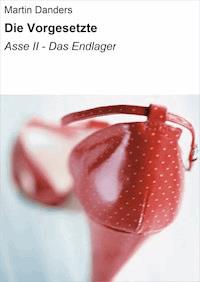 Die Vorgesetzte - Martin Danders - ebook