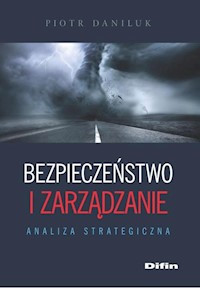 Bezpieczeństwo i zarządzanie - Daniluk Piotr - książka