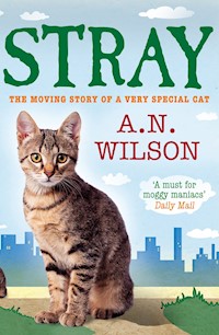 Stray - A.N. Wilson - ebook
