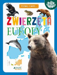 Zwierzęta Europy - Zagnińska Maria - książka