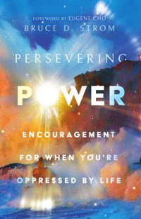 Persevering Power - Bruce D. Strom - ebook