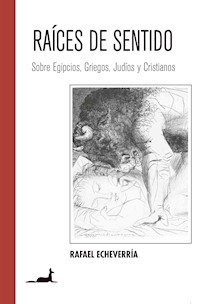 Raíces de Sentido - Rafael Echverría - ebook