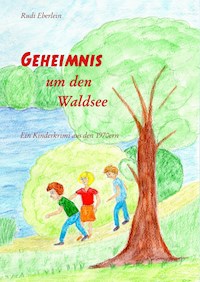 Geheimnis um den Waldsee - Rudi Eberlein - ebook