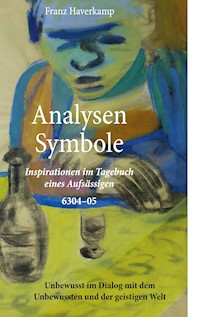 Analysen - Symbole 6304-05 - Franz Haverkamp - ebook