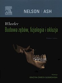 Wheeler Budowa zębów, fizjologia i okluzja - Nelson Stanley J., Śmiech-Słomkowska Grażyna - książka