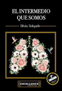 El intermedio que somos - Silvia Salgado Sevillano - ebook