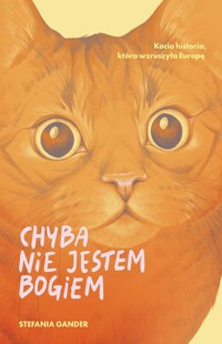 Chyba nie jestem Bogiem - Gander Stefania - książka