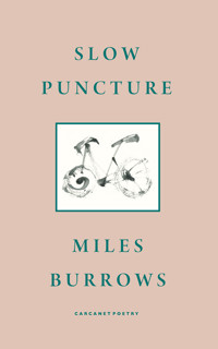 Slow Puncture - Miles Burrows - ebook