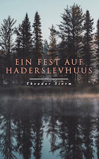 Ein Fest auf Haderslevhuus - Theodor  Storm - ebook