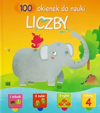 100 okienek do nauki Liczby -  - książka