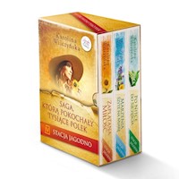 Stacja Jagodno - Karolina Wilczyńska - książka