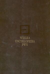 Wielka encyklopedia PWN Tom 5 -  - książka