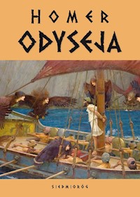 Odyseja - Homer - ebook + audiobook + książka