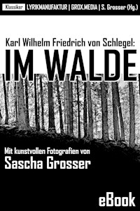 Karl Wilhelm Friedrich von Schlegel: Im Walde - Sascha Grosser (Hg.) - ebook