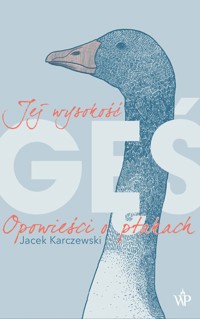 Jej wysokość gęś - Jacek Karczewski - ebook + książka