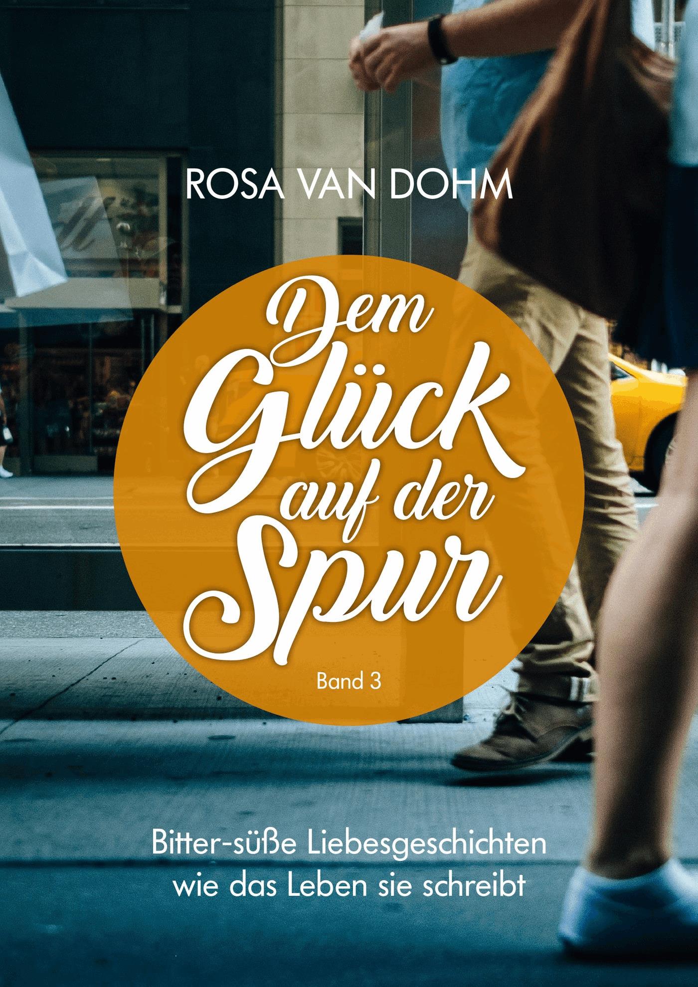Dem Glück auf der Spur Band 3
