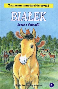 Białek kucyk z Gotlandii Tom 1 - Rudolfsson Marie Louise - książka