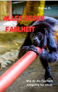 Alles gegen Faulheit - Tobias Hopfmüller - ebook