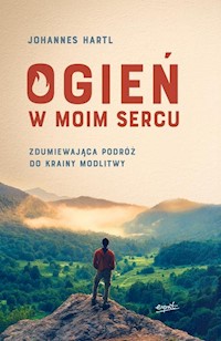 Ogień w moim sercu - Hartl Johannes - książka