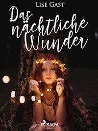 Das nächtliche Wunder - lise  gast  - ebook