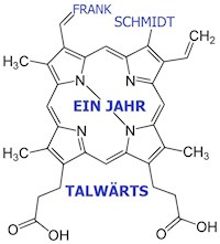 Ein Jahr talwärts - Frank Schmidt - ebook