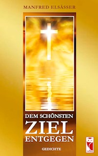 Dem schönsten Ziel entgegen - Manfred Elsässer - ebook